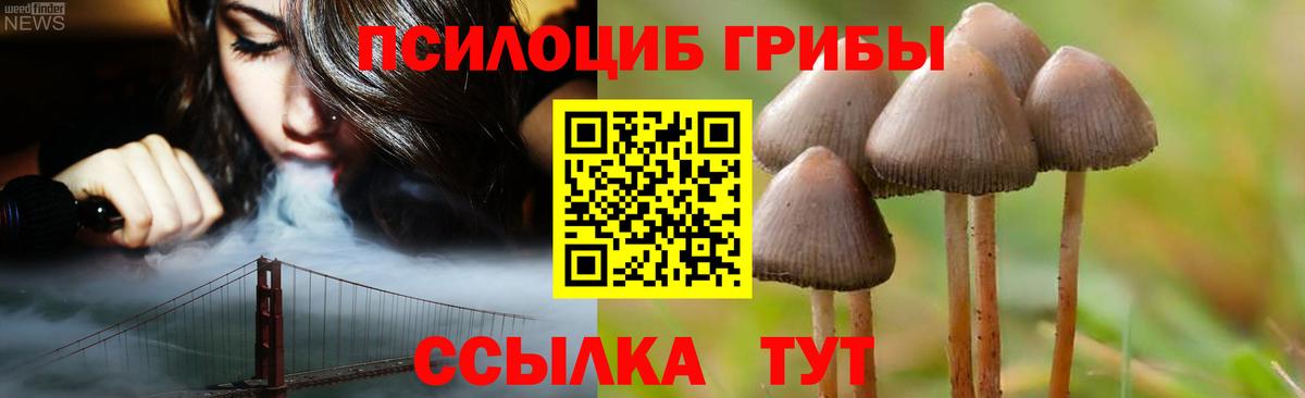 Псилоцибиновые грибы Cubensis  Псилоцибиновые грибы мицелий  Якутск  Вход с VPN 